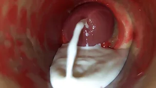 Sex Gay Porn 66