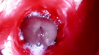 Hot Wet Sexy Hole And Sopping Big Cock
